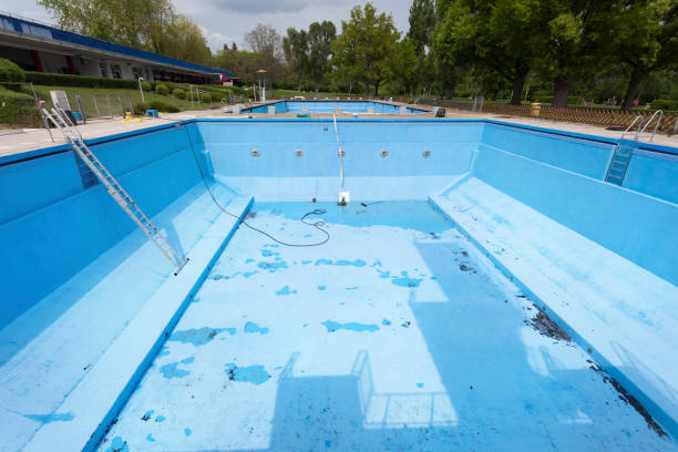 Best Basement water damage restoration  in Vcennes, IN