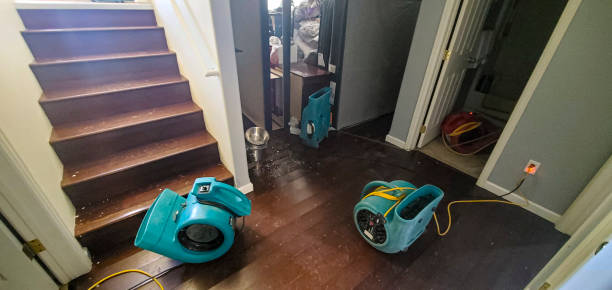 Best 24/7 water damage repair  in Vcennes, IN