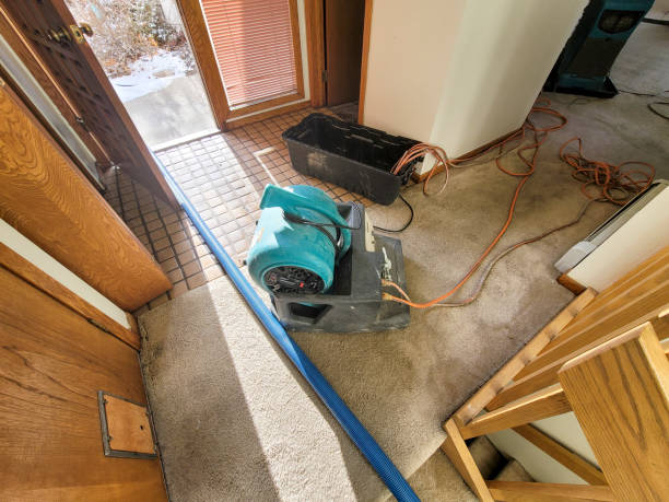 Best Professional water damage repair  in Vcennes, IN