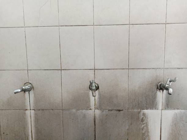 Best Water damage cleanup near me  in Vcennes, IN