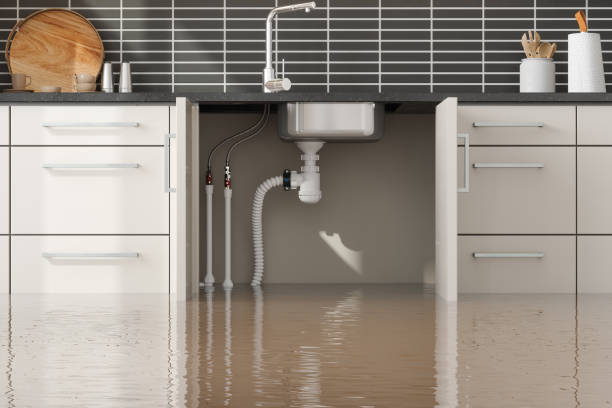 Best Flood damage cleanup  in Vcennes, IN