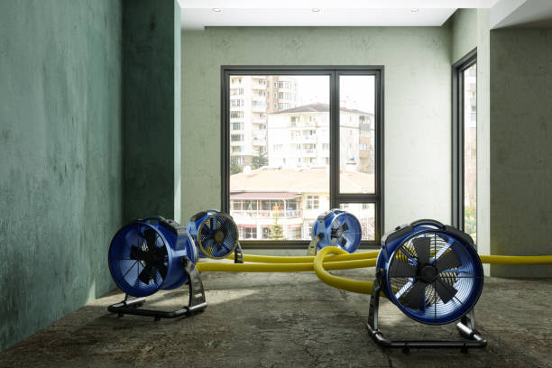 Best Flood restoration services  in Vcennes, IN